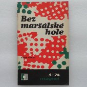 Bez maršálské hole - Bořek Homola